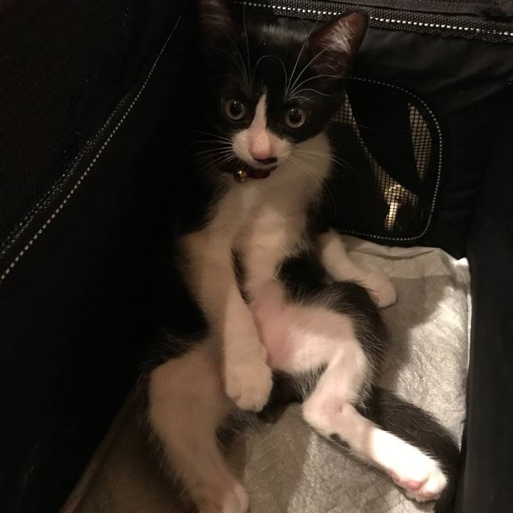 8009b8fe 448d 40e8 971d 9aa078490f3b