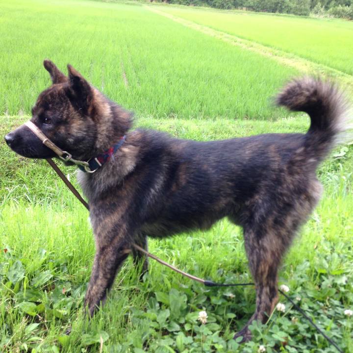 800a157a 7a54 4c53 a213 909c8e3ab2ed