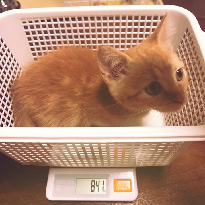 800a3f68 2e77 44e5 8217 1e7866bbae80