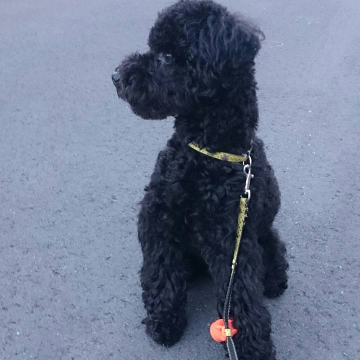 800a7e10 f7ff 43c9 9255 a29e93051ea4