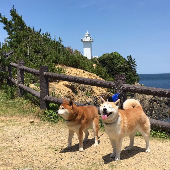 800abbf3 86b0 4bb8 8717 e174191414f4