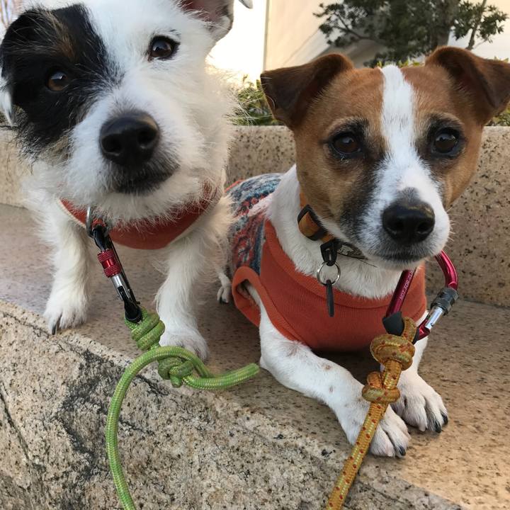 800acf82 d23d 427c bbf3 4696d3298d45