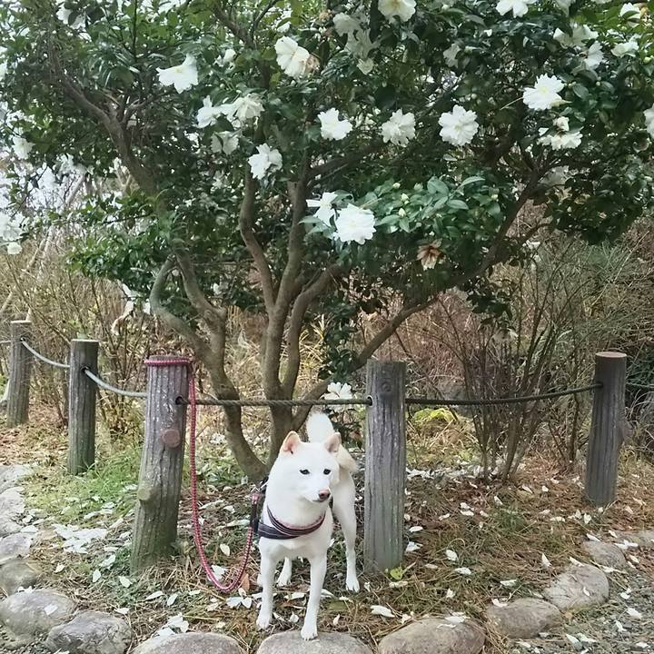 800b4422 dc8b 465d 8608 abca752c03fc