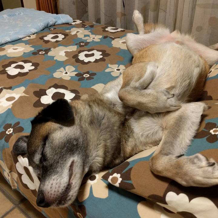 800cdabc 4ca3 4ce3 9a9e a33beb3d6887