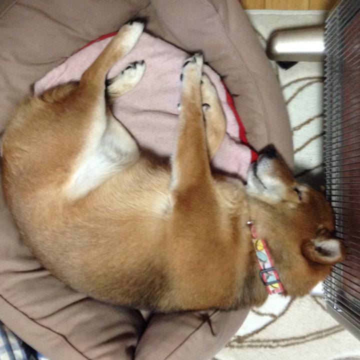 800d7aae af2d 47df 851c 6226c4ea3231