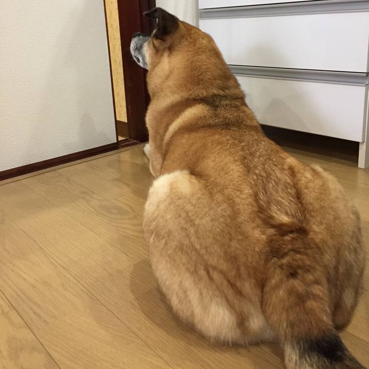 800d8519 9c77 451b 9a57 ea69ae0fe45c