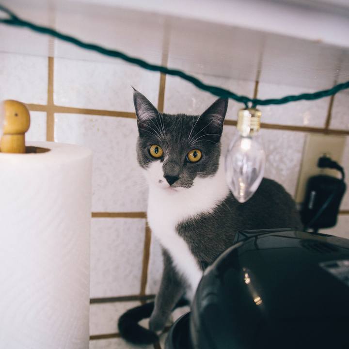 800dd7bf b664 4a63 9def 674ba7195668