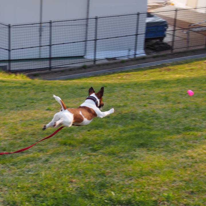 800de000 07e9 4a26 b40c 4b70238aa60e