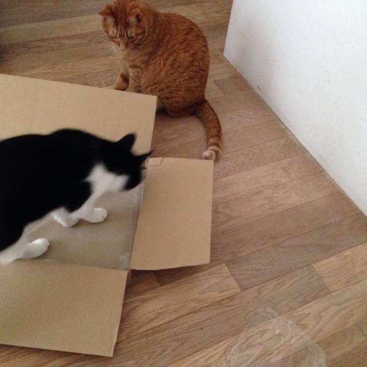 800e1d83 2f3a 4b74 8f60 d5d3528cb673