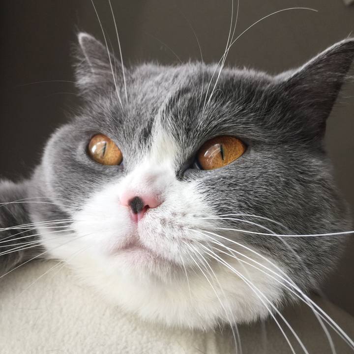 800e9800 a2a7 4ce4 95db 5e60e515fba0