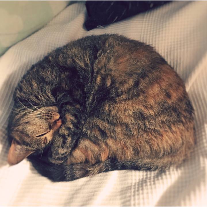 800eea7a 729e 4d89 94e2 fe3d99a2e7e6