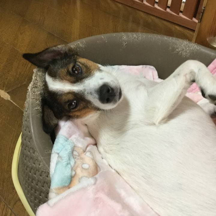 800fe5b6 833b 4b30 bb11 a1bec8f03384