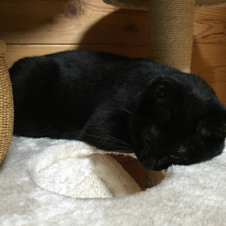 80121d98 8b25 45c8 85b3 e77a3aa607e9