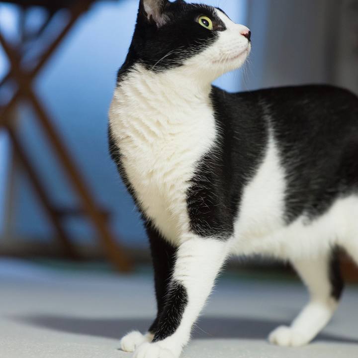 80126d70 85f6 4df9 a3ba 445e4e6056ad