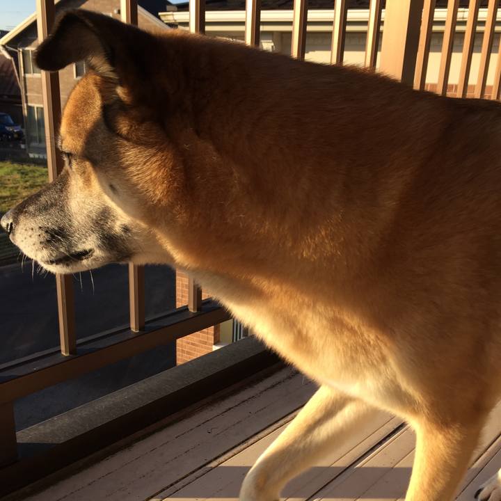 8012a7e4 743d 4568 8890 34946a7c2bb7