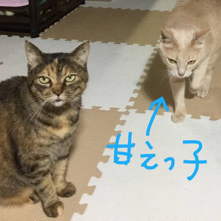 8012b2ae b2a8 4e05 beff 11b86c32b842