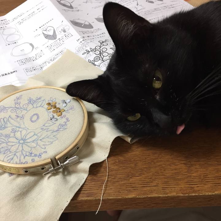 8012c828 ed00 4ba5 95e6 290fae797869