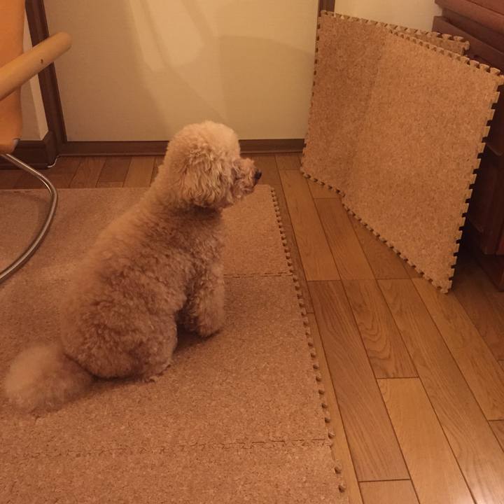 8013a124 8139 481d 8298 86bfcc0f93b4