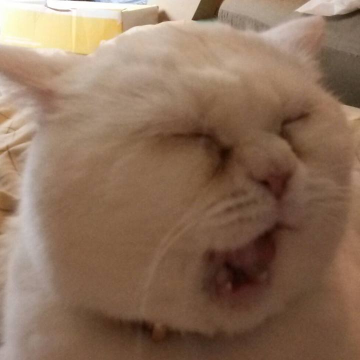 80148ab3 ef1f 49b7 8d85 255fde676a14