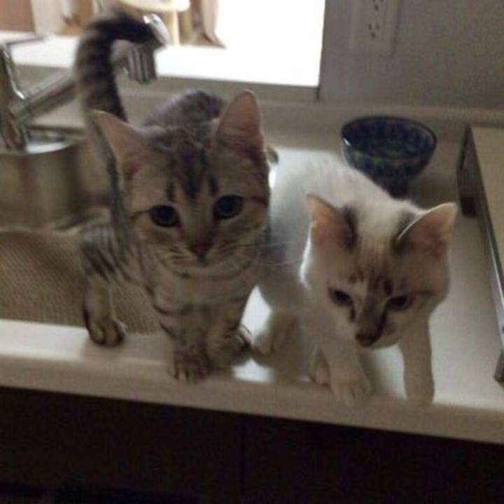 8014f2d5 c220 4021 9da1 71faa51fbf4f