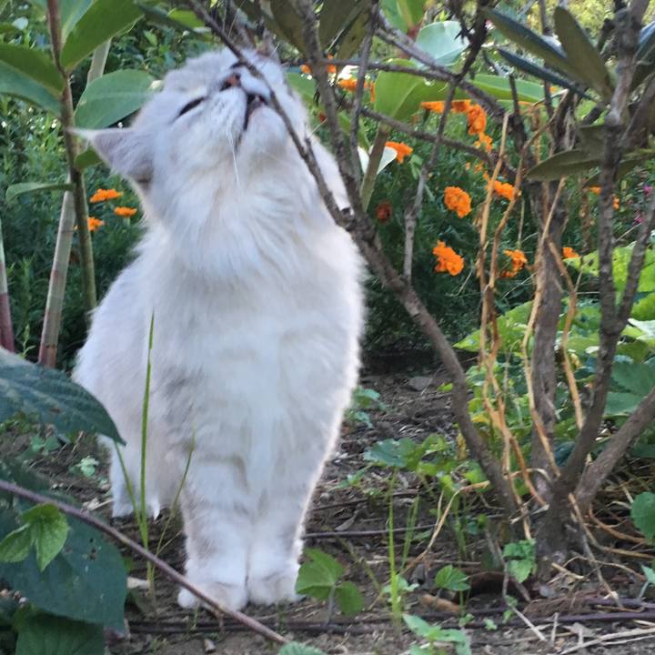 8015d0e9 b482 4b92 bfb1 4fe69c1e60b5