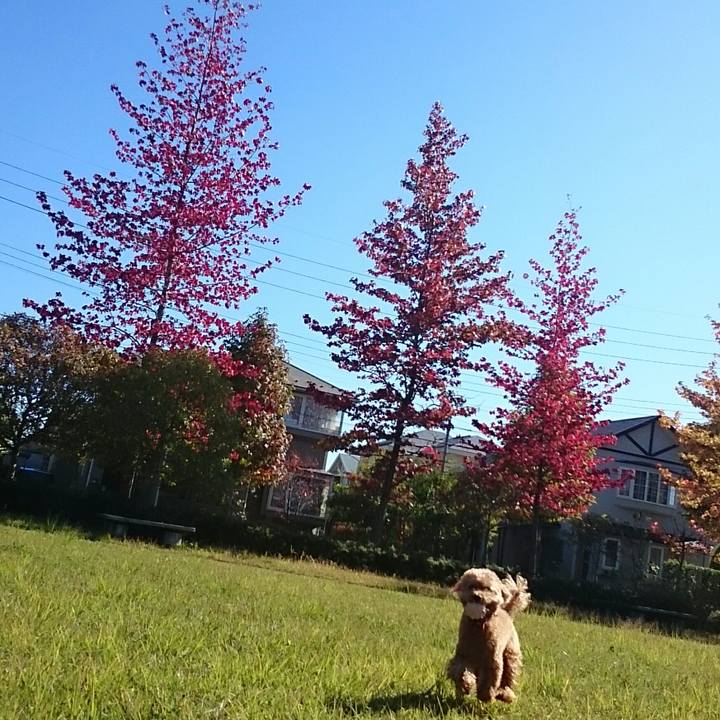 801759cc 43b5 43be bbfe fdc83af5ffcb