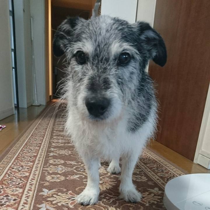 8017d236 76de 4329 a4ba 1dc6420f1383