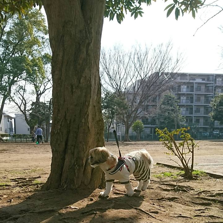 8017dad2 5b68 4e76 8c73 b60639f0bb67