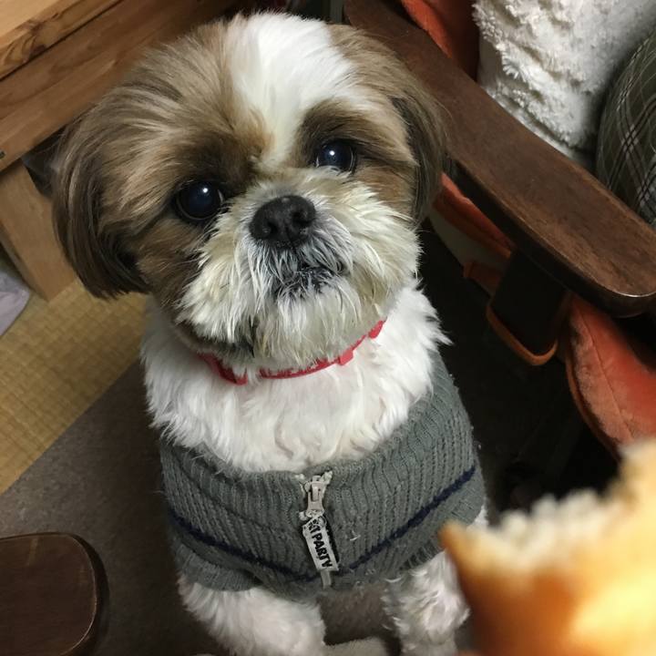 80181a7d 405a 4a4b 8d4d f6fac93daa65