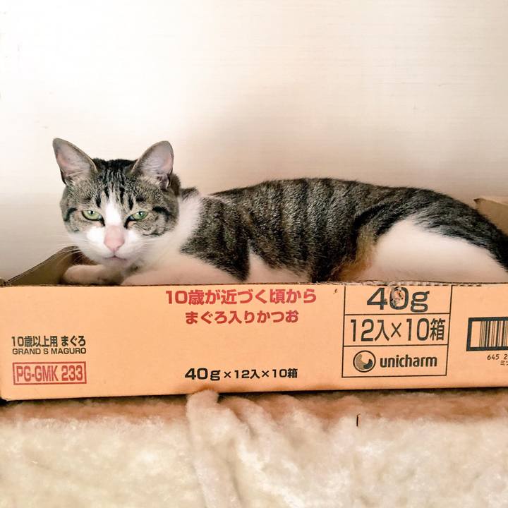 80183b50 05bb 4886 8b0d 8991d4d80170