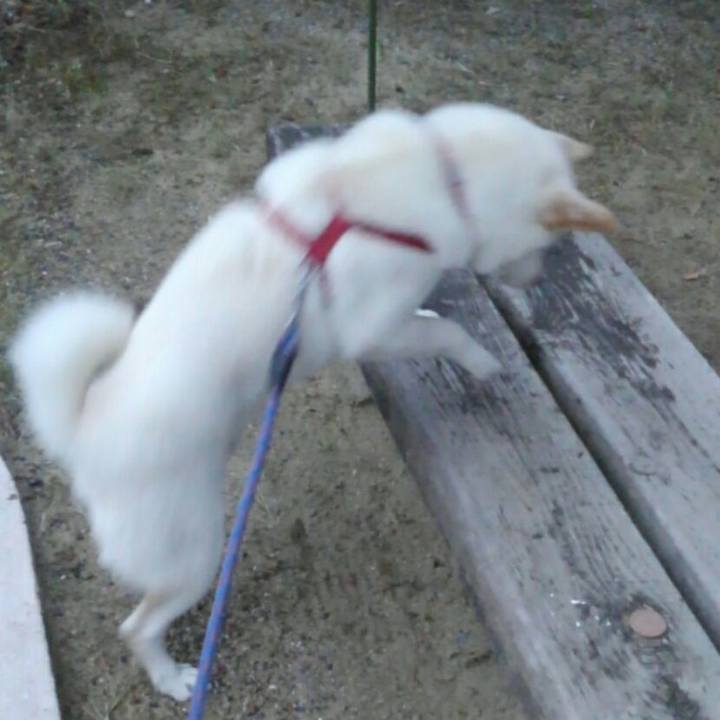 80183fcf f0e6 4671 b028 2d2a527399fd