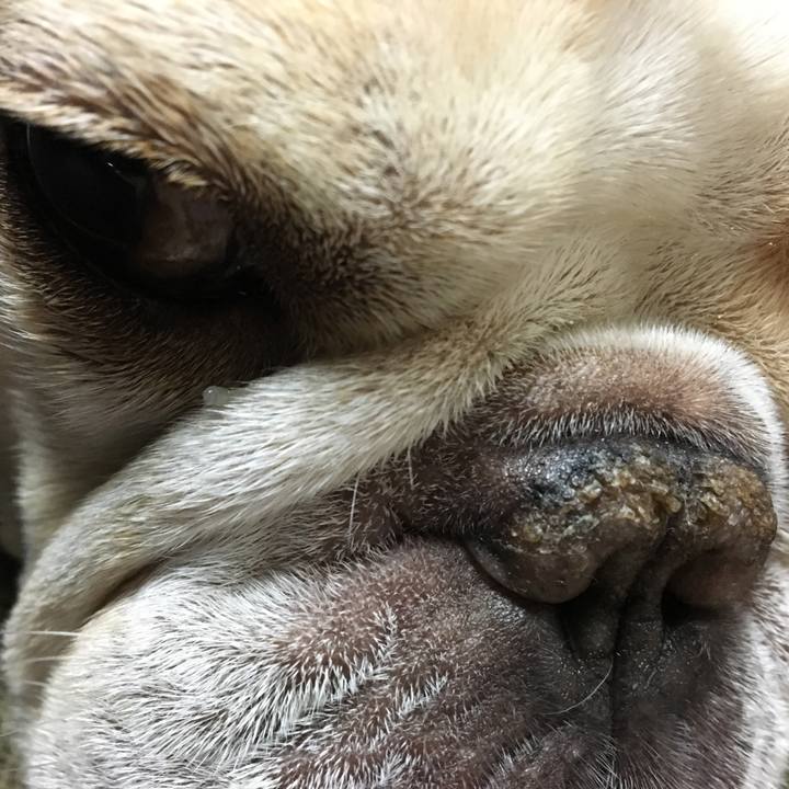 801870ec 48b9 4328 8d92 5e585cd7f5f3