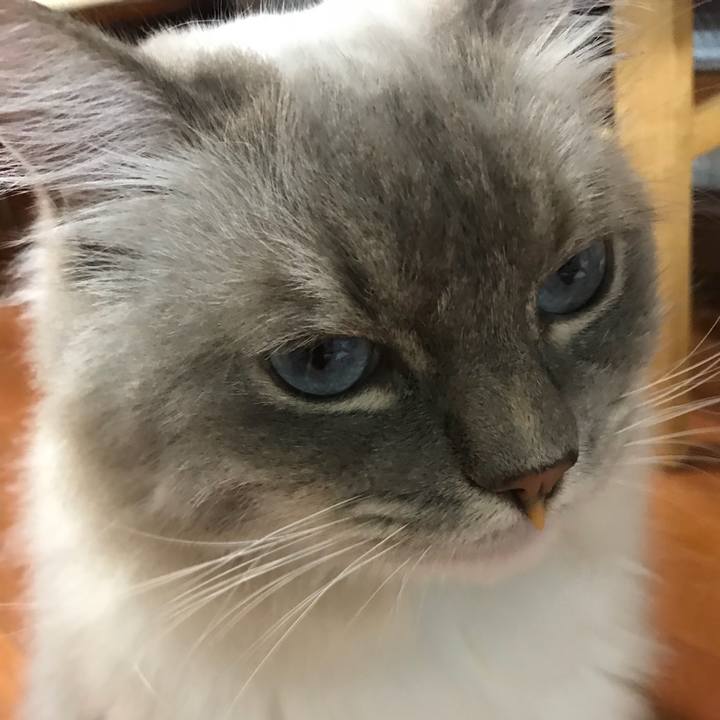 80188c4b 1c88 47bd a29b efc051cb14c1