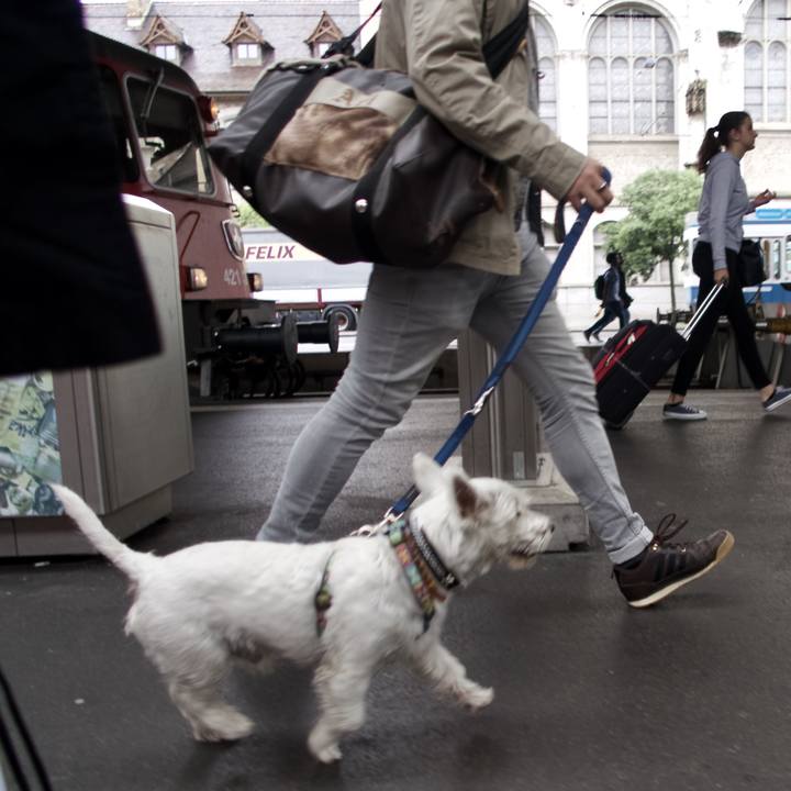 8018c7e5 cc52 44e1 9285 f473ab0888a4