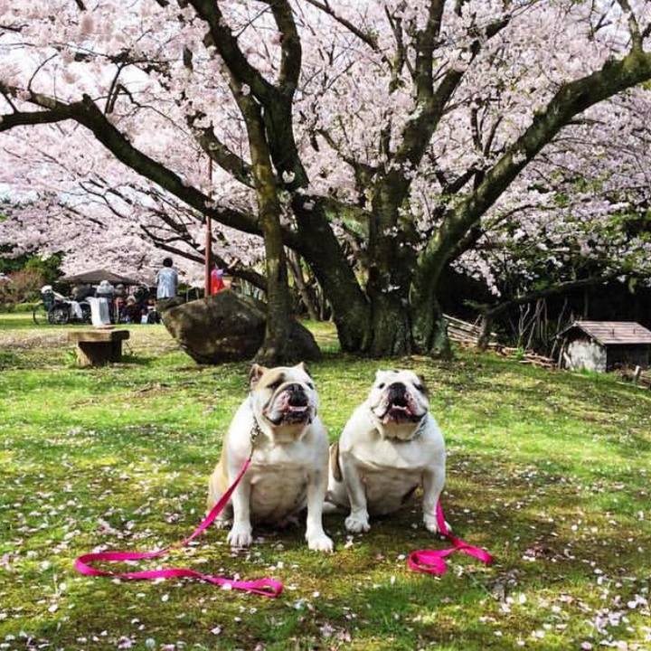 8018e266 bd6d 44a7 9361 85b1a912a870