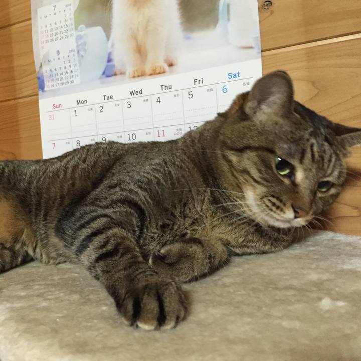 8019368f 13c8 4627 9ca0 1cd22964e990