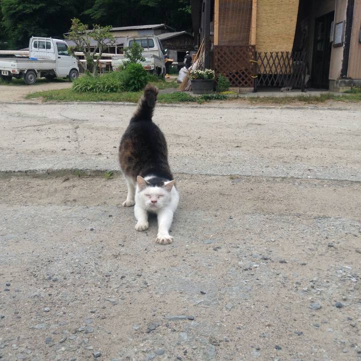 8019a813 fd4f 4848 94ae 921028194404