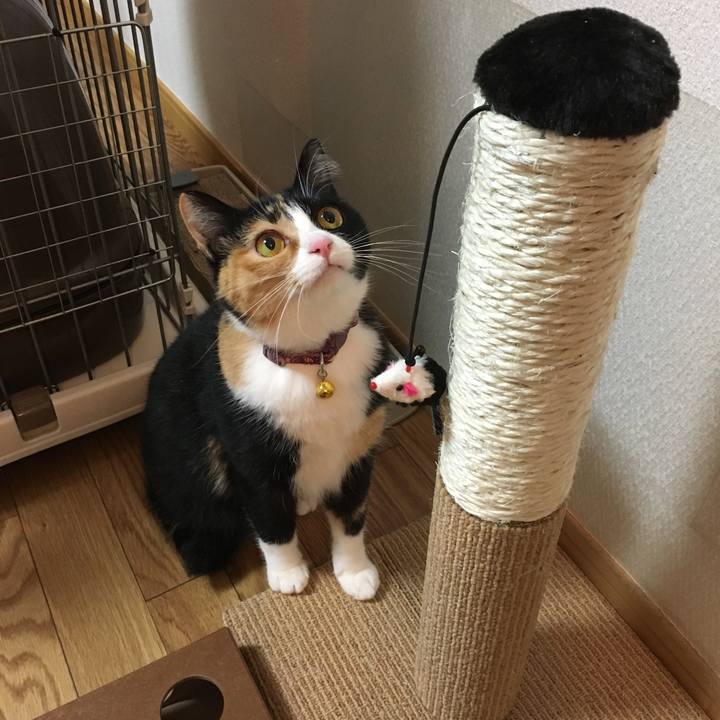 8019f6ca 5ce0 4765 9f27 2d2ee8ae9cbd