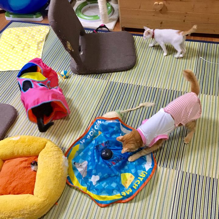 801ab0b9 99d9 4829 a39b fca7d16edf97