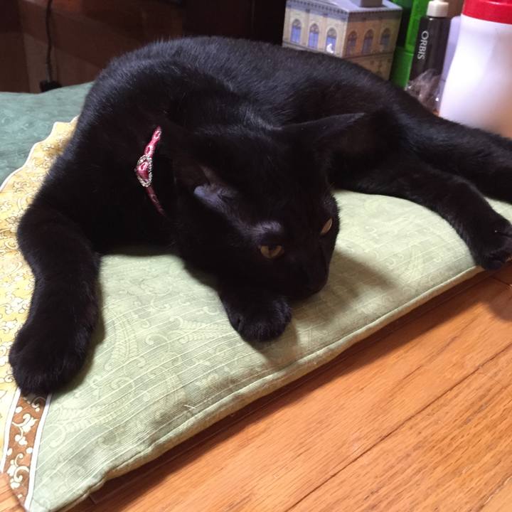 801b67d1 b744 4eba a7db 03eaddd315ca