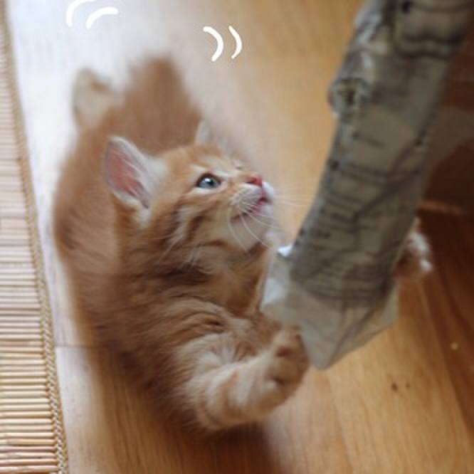 801bbac4 b1ed 4640 879e 7bb3d035eab5