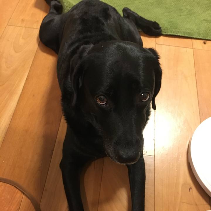 801c3a29 dc5f 4d05 91d9 fd8c6c6a7180