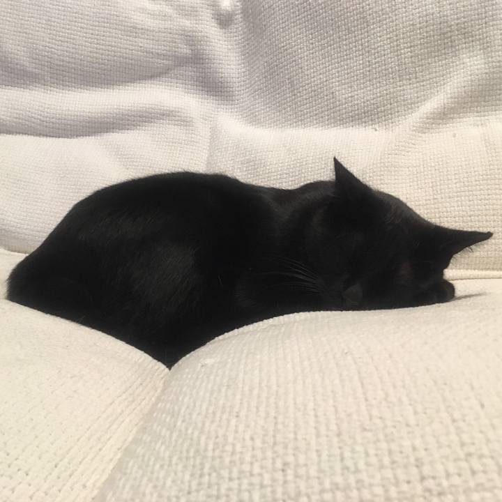 801c425b 1d99 4b01 bc93 b6a4cc2981df