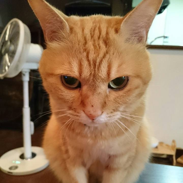 801cae92 88fe 4b53 ac35 08585dcb0226