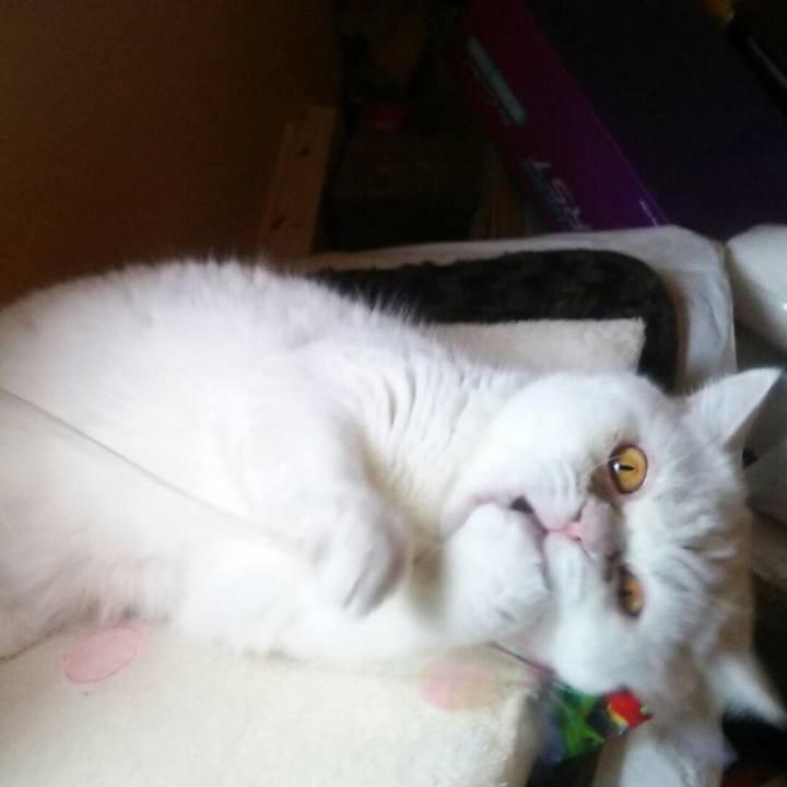 801d531f 0900 4af6 b005 9609eda21730