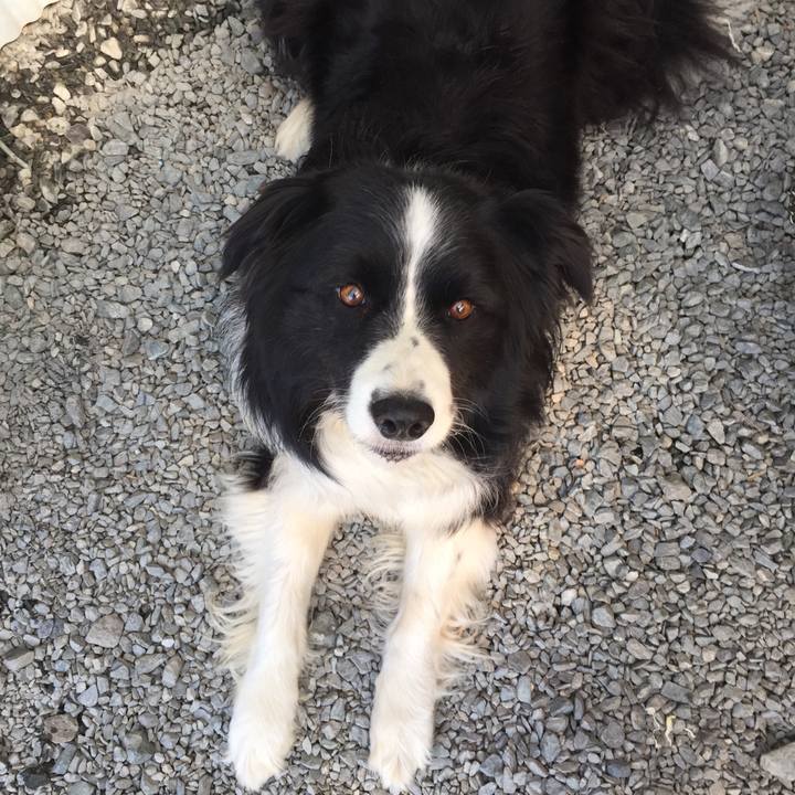 801da6b6 a2c3 4548 961c 829118968409