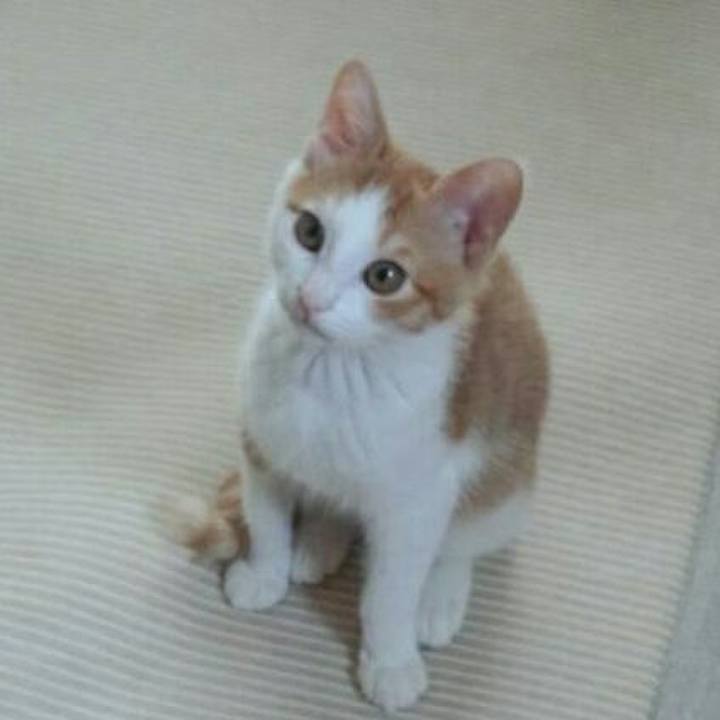 801dc762 ae9b 48e0 afb6 4d0946114936