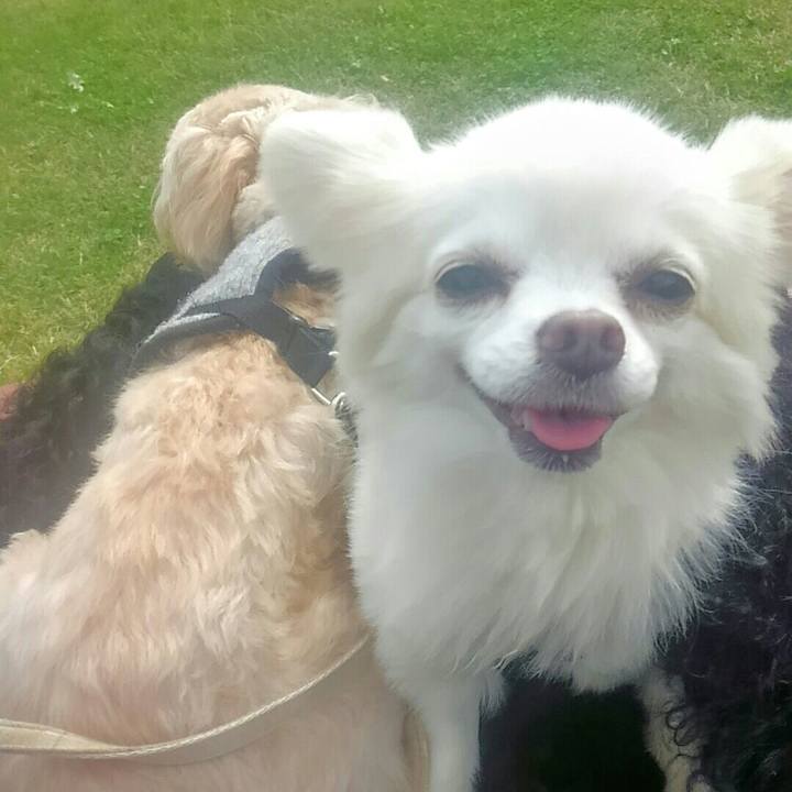 801e8ae1 ec6e 4dc7 84c6 1870b45c383d