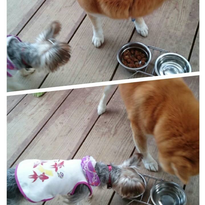 801edb3e 145f 46a2 811a 899cb76bdcc0