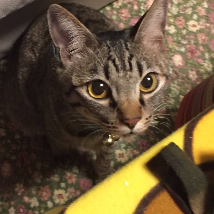 801efc4c aa25 42c8 83fa e78f205b6523